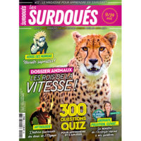 Les Surdoués magazine n°11 - couverture