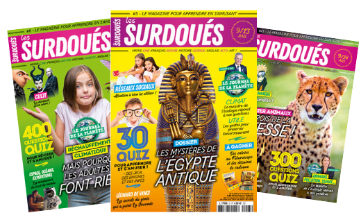Les Surdoués magazine