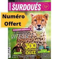 Couverture_du no11 magazine Les Surdoués_offert