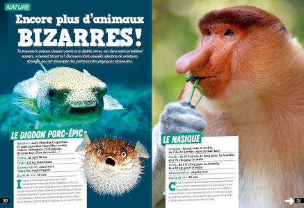 Les Surdoues magazine 15 - des animaux bizarres