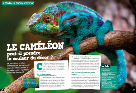 Le cameleon_Les SURDOUES_N17