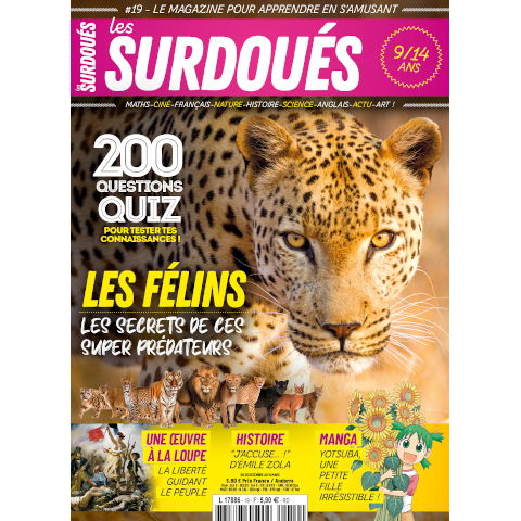 Les surdoué magazine n°19 - couverture