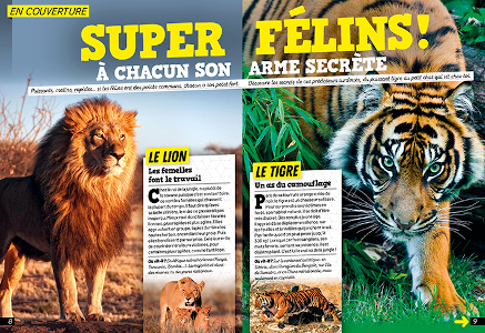 Les surdoués magazine n°19 - dossier sur les super félins